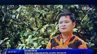 Thôn Nà Xỏm, xã Lợi Bác phát triển kinh tế từ cây chè hoa vàng (nguồn LSTV)