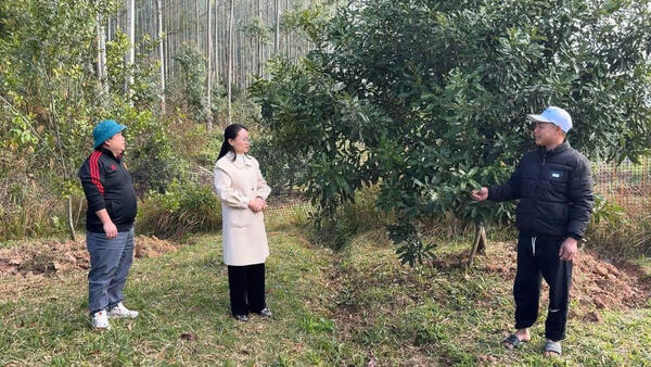 Lãnh đạo xã khảo sát các mô hình kinh tế tại xã Lợi Bác